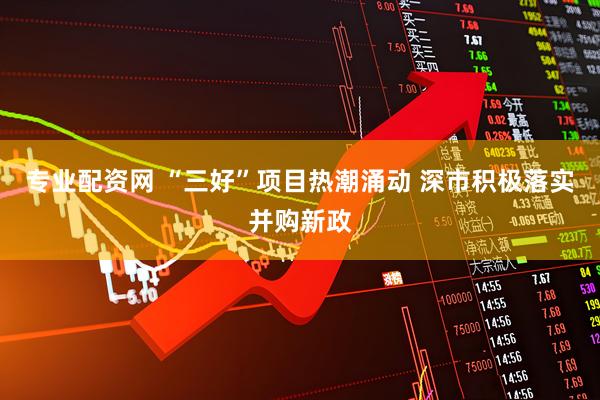 专业配资网 “三好”项目热潮涌动 深市积极落实并购新政