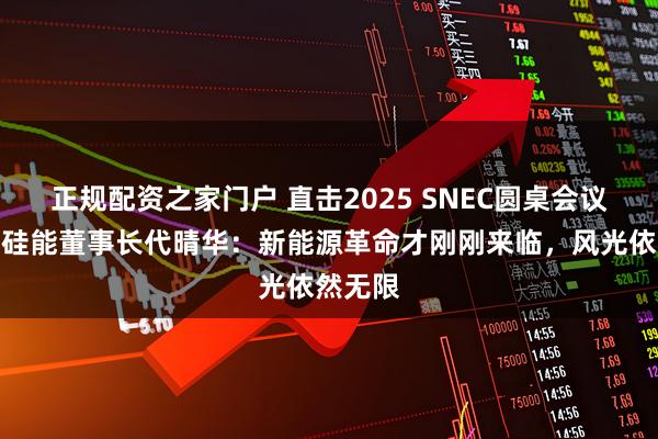 正规配资之家门户 直击2025 SNEC圆桌会议！三一硅能董事长代晴华：新能源革命才刚刚来临，风光依然无限
